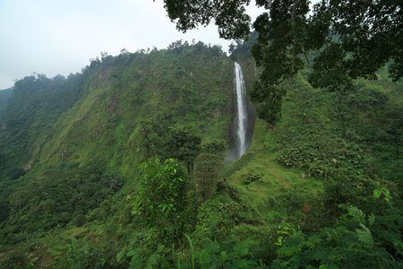 a green backdrop with a waterfallの写真素材
