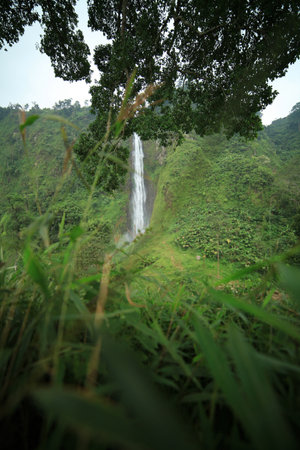 waterfall in the distance with shades of greenの写真素材