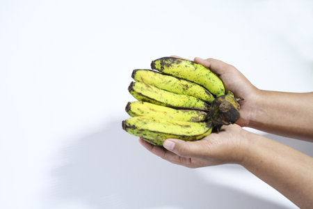 banana with a white backgroundの写真素材