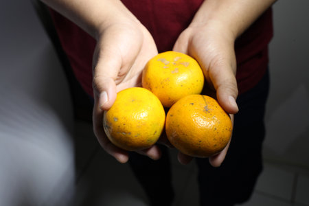 women holding citrus fruitsの写真素材