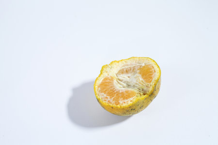 orange with a white backgroundの写真素材
