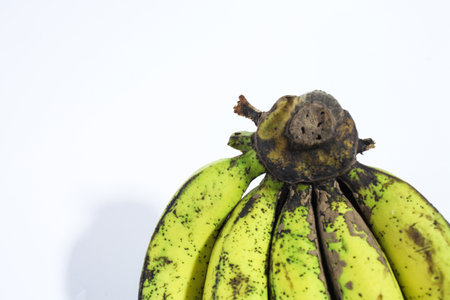 banana with a white backgroundの写真素材