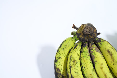 banana with a white backgroundの写真素材