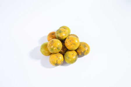 orange with a white backgroundの写真素材