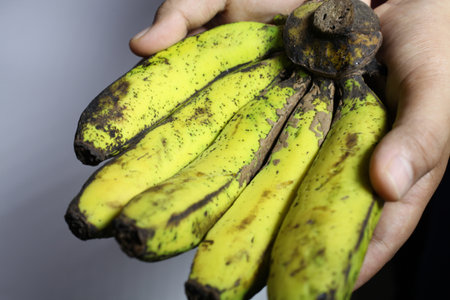 women holding bananasの写真素材