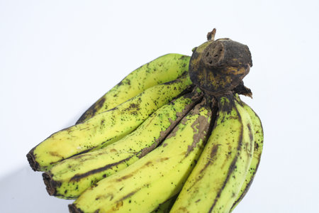 banana with a white backgroundの写真素材