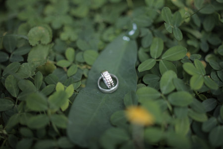 wedding ring with a green backgroundの写真素材