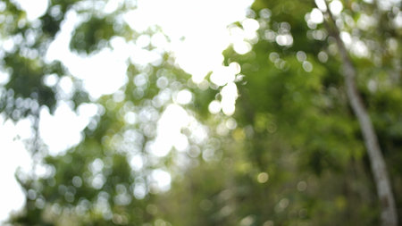 green abstract background with neat roundsの写真素材
