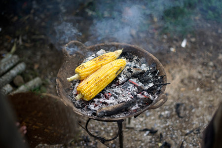 two roasted corns cooked on charcoalの写真素材