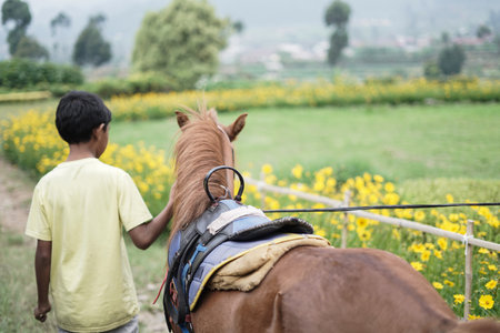 Young jockey walking with horse in nature tourism park, ciwidey bandungの写真素材