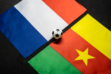 France vs Cameroon, Football match with national flagsの写真素材