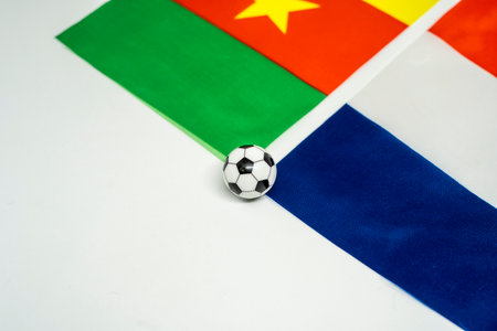 France vs Cameroon, Football match with national flagsの写真素材