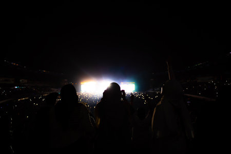 Excited audience watching music festival at night. Copy space.の写真素材