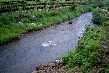 Small river in the middle of agricultural field. nature conceptの写真素材