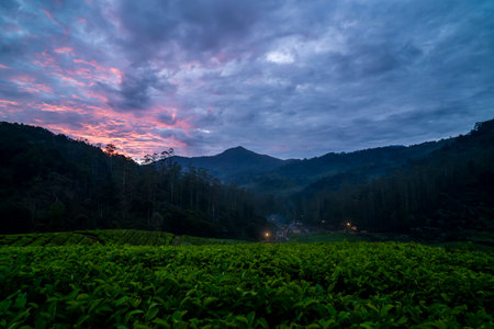 the atmosphere at sunrise in the Ciwidey tea plantation, Bandungの写真素材