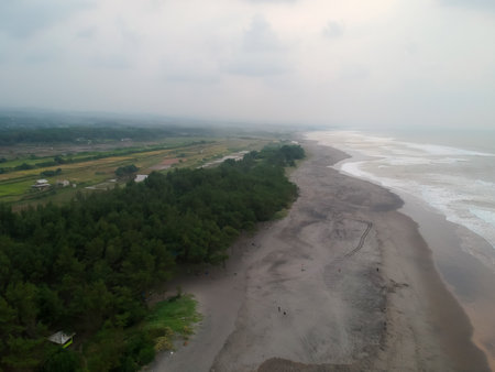 aerial view of black sand beachの写真素材