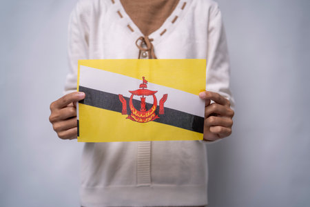 Hands Holding Flag of the Nation Bruneiの写真素材