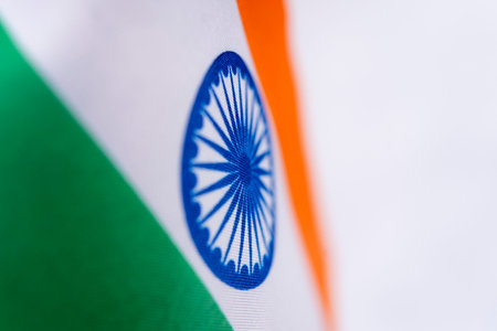 India Flag Ashoka Chakra Macro Fabric Detail