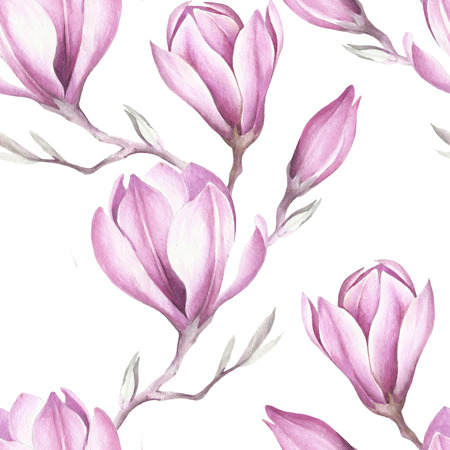 Seamless pattern with blooming magnolia twig. Watercolor illustrationの写真素材