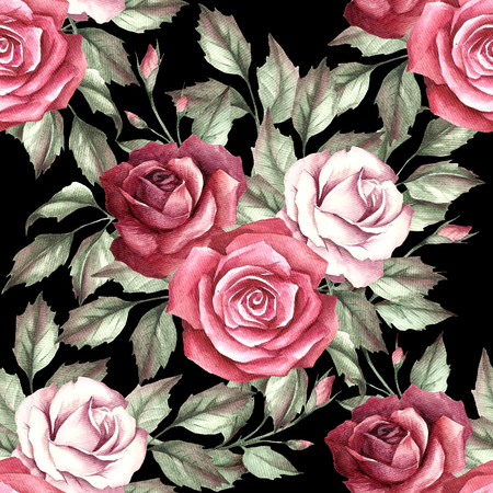 Seamless pattern with roses. Hand draw watercolor illustrationの写真素材