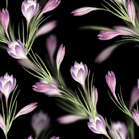Seamless pattern with crocus. Hand draw watercolor illustration.の写真素材