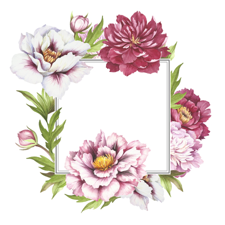 Frame with  peonies. Hand draw watercolor illustration.の写真素材