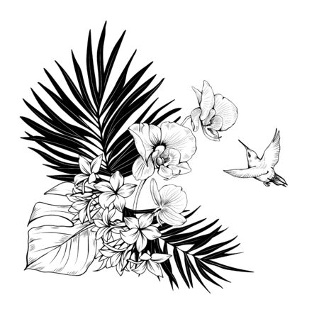 Composition with Orchids, hummingbird and palm leaves. Vector botanical illustration.のイラスト素材