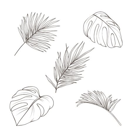 Hand drawn set with tropics leaves. Vector botanical illustrationのイラスト素材