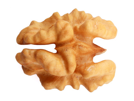 Birdview Single Walnut isolated on white backgroundの写真素材