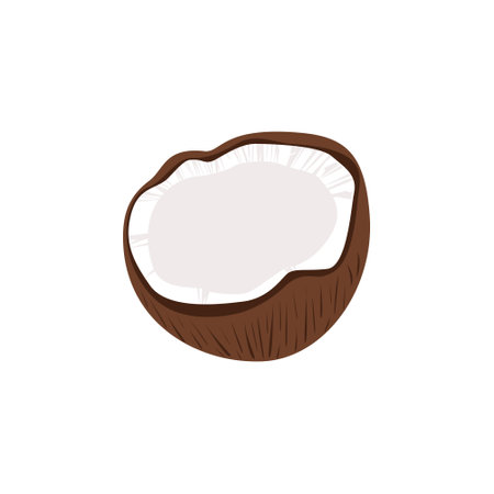 Coconut icon on white background for graphic and web design. Simple vector sign. Internet concept symbol for website button or mobile appのイラスト素材
