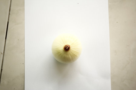 Onion on a white sheet of paper. The concept of healthy eating.の写真素材