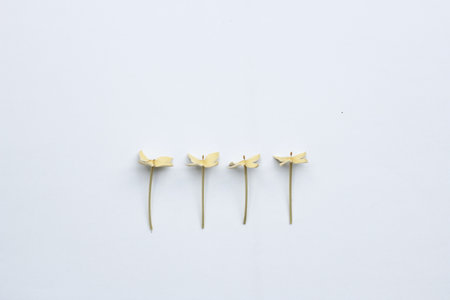 Dried flowers on a white background. Dried flowers on a white background.