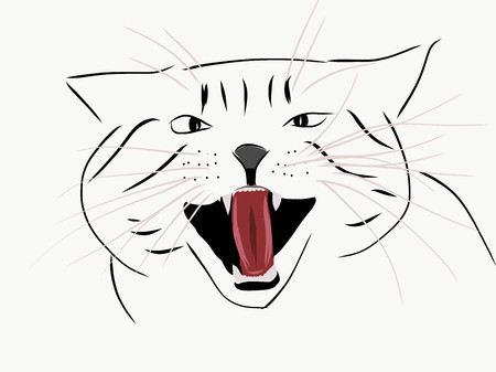 Angry catのイラスト素材