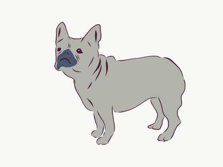 french dogのイラスト素材