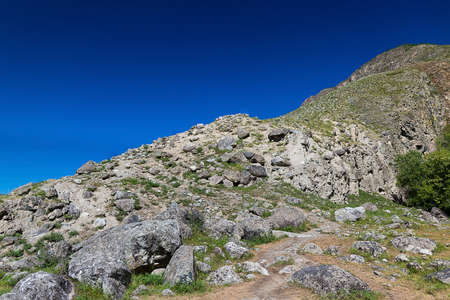 Climb the mountain to natural stone formations Stone Mushrooms, Ulagansky District, Altai Republic,...