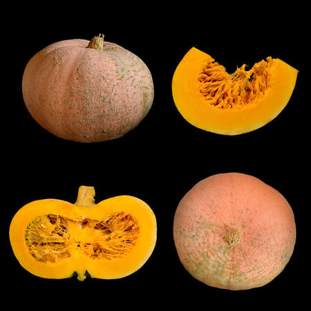 A set of pumpkins of 4 species - top, side, section and a piece on a black backgroundの写真素材