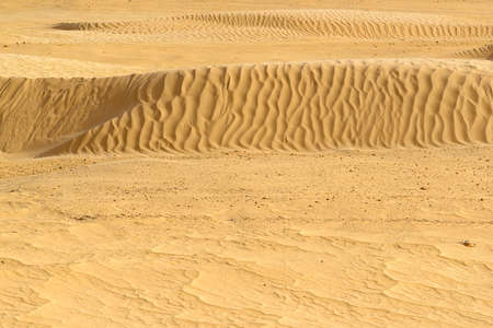 Fragment of desert dunes with yellow sand, large dune with large waves and ordinary sandの写真素材
