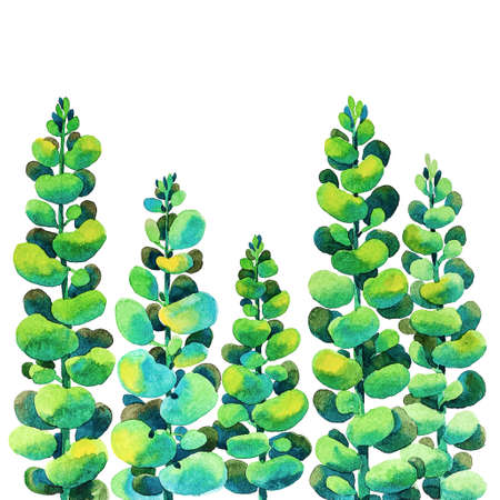 Green vertical branches with rounded leaves isolated on white background, watercolor handwork. For cards, invitations, collages, backgrounds, textiles and other design tasksの写真素材
