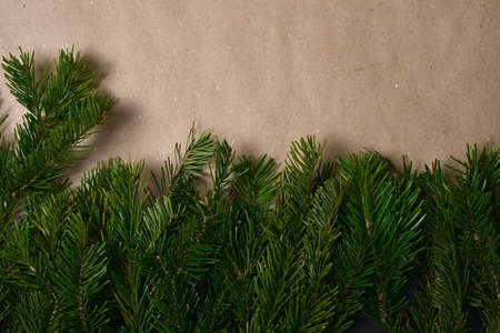 Background from beige craft paper, at the bottom there is a strip of spruce green branches. Frame...