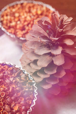 Close-up still life of two bowls with pine nuts and a large pine cone. Top view, pink lighting.
