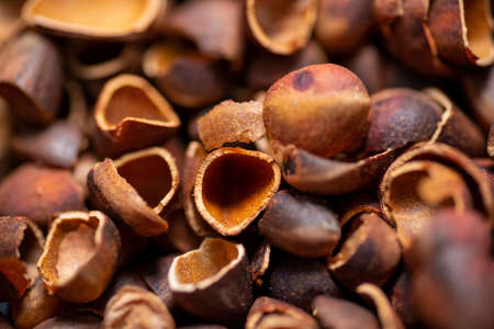 Background from shells from Siberian pine nuts, empty nut halves, close-up top view, edges are...