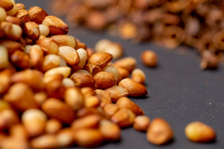 A slide of peeled Siberian pine nuts, yellow kernels. Close-up front view, all details can be seen, the background is blurred.の写真素材