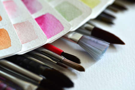 Watercolor color palette on white paper, fanned out, next to a set of brushes. On a white paper...