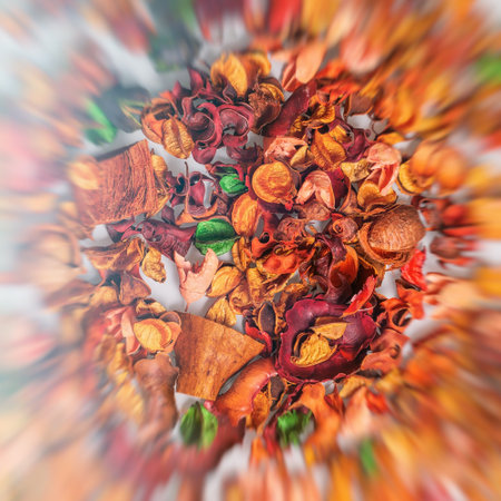 Background from dried flowers of orange and red flowers, top view on a white background. Zoom effect around the edges, blurred edges and sharp in the center.の写真素材