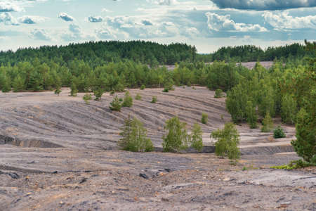View from the quarry to the green birch forest. In the foreground is the rocky ground of the quarry....