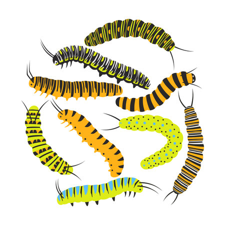 Set of colorful caterpillars. Pretty caterpillars different silhouette on white background. For festive card, banner, children, pattern, tattoo, decorative, concept. Vectorのイラスト素材