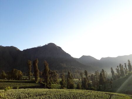 Another side of mount bromo, East Java - Indonesiaの写真素材