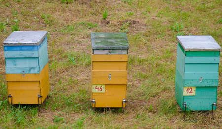 3 beehives on green grass background