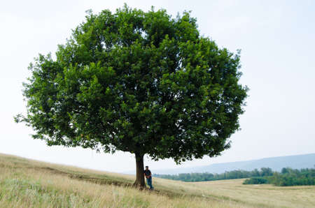 Big tree on hill and teenager sit near listen to musicの写真素材