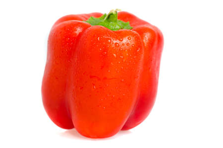 Fresh red pepper with water drops isolated on white - Capsicum annuum